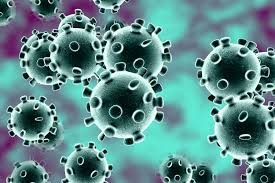 Coronavírus: CREA-SP alerta para as formas de contágio, sintomas e prevenção