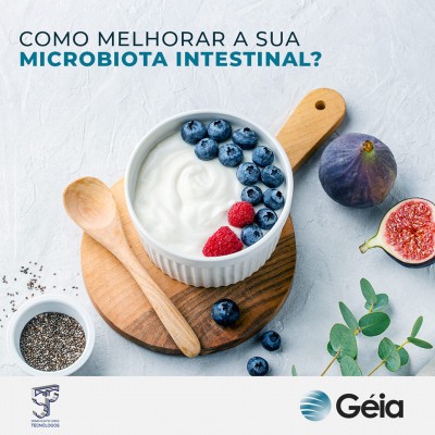Géia: como melhorar a sua microbiota intestinal?